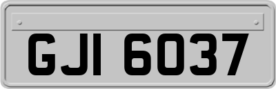 GJI6037
