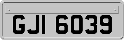 GJI6039