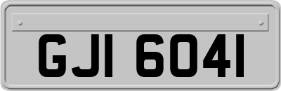 GJI6041