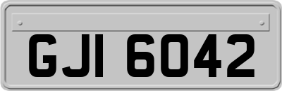 GJI6042