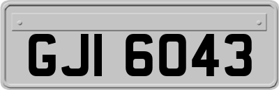 GJI6043