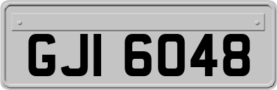 GJI6048