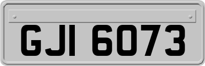 GJI6073