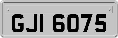 GJI6075