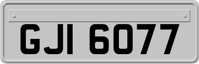 GJI6077