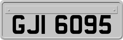 GJI6095