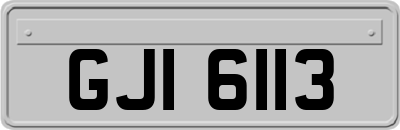 GJI6113