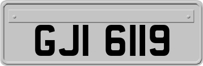 GJI6119