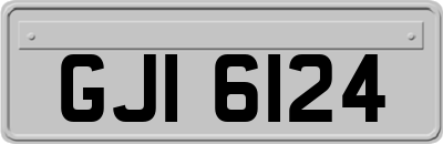 GJI6124
