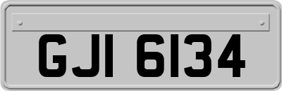 GJI6134