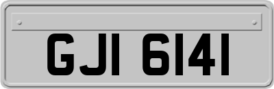 GJI6141