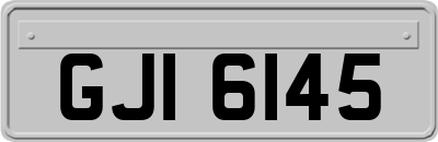 GJI6145