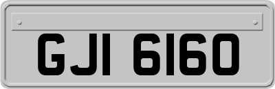 GJI6160