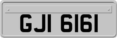 GJI6161