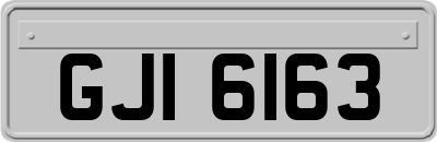GJI6163