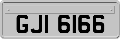 GJI6166