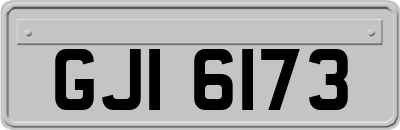 GJI6173
