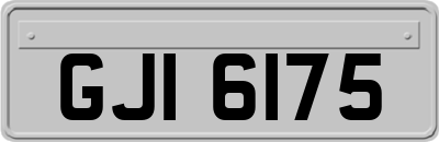GJI6175