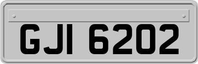 GJI6202