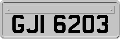 GJI6203