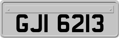 GJI6213