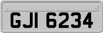GJI6234