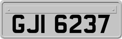 GJI6237