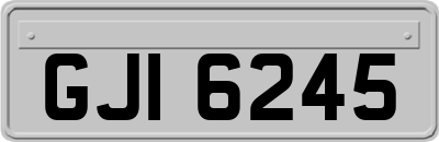 GJI6245