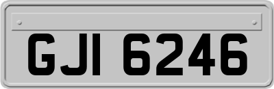 GJI6246