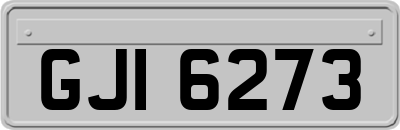 GJI6273