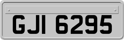 GJI6295