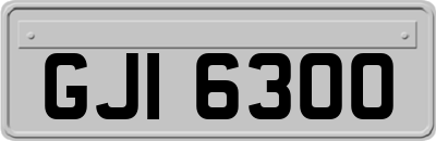 GJI6300