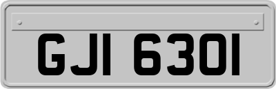 GJI6301