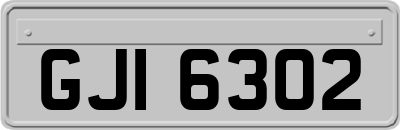 GJI6302