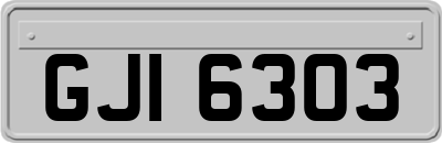 GJI6303