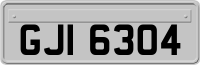 GJI6304