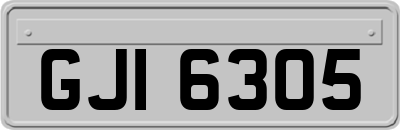 GJI6305