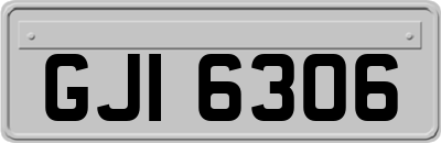 GJI6306