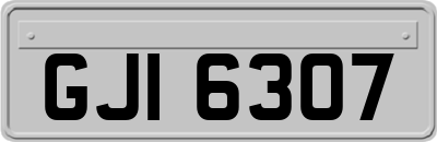 GJI6307