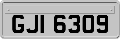 GJI6309