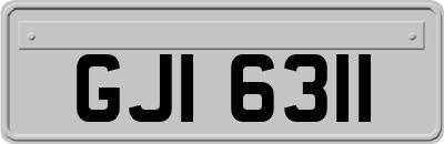 GJI6311