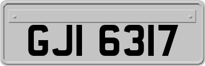 GJI6317