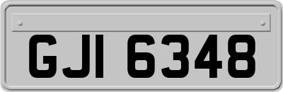 GJI6348