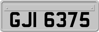 GJI6375