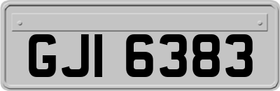 GJI6383