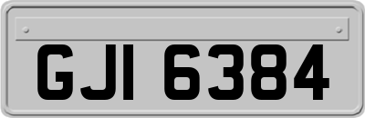 GJI6384