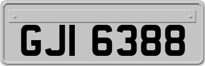 GJI6388
