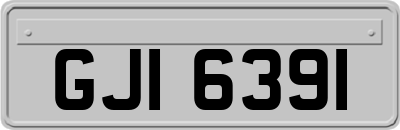 GJI6391
