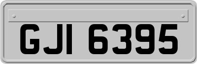 GJI6395