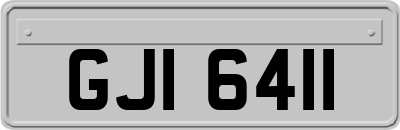 GJI6411